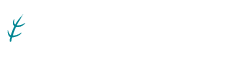 あたらし歯科医院